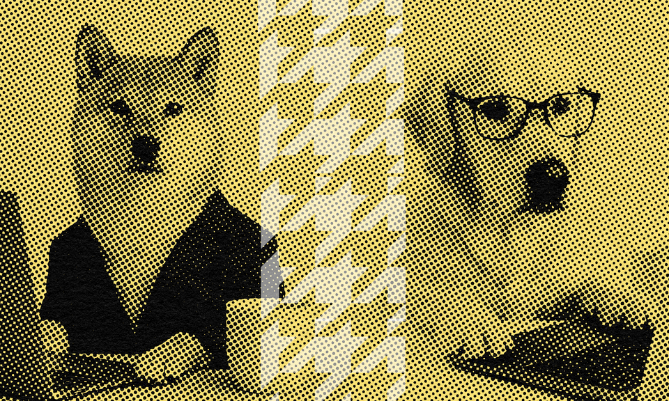 The real working dogs of project management